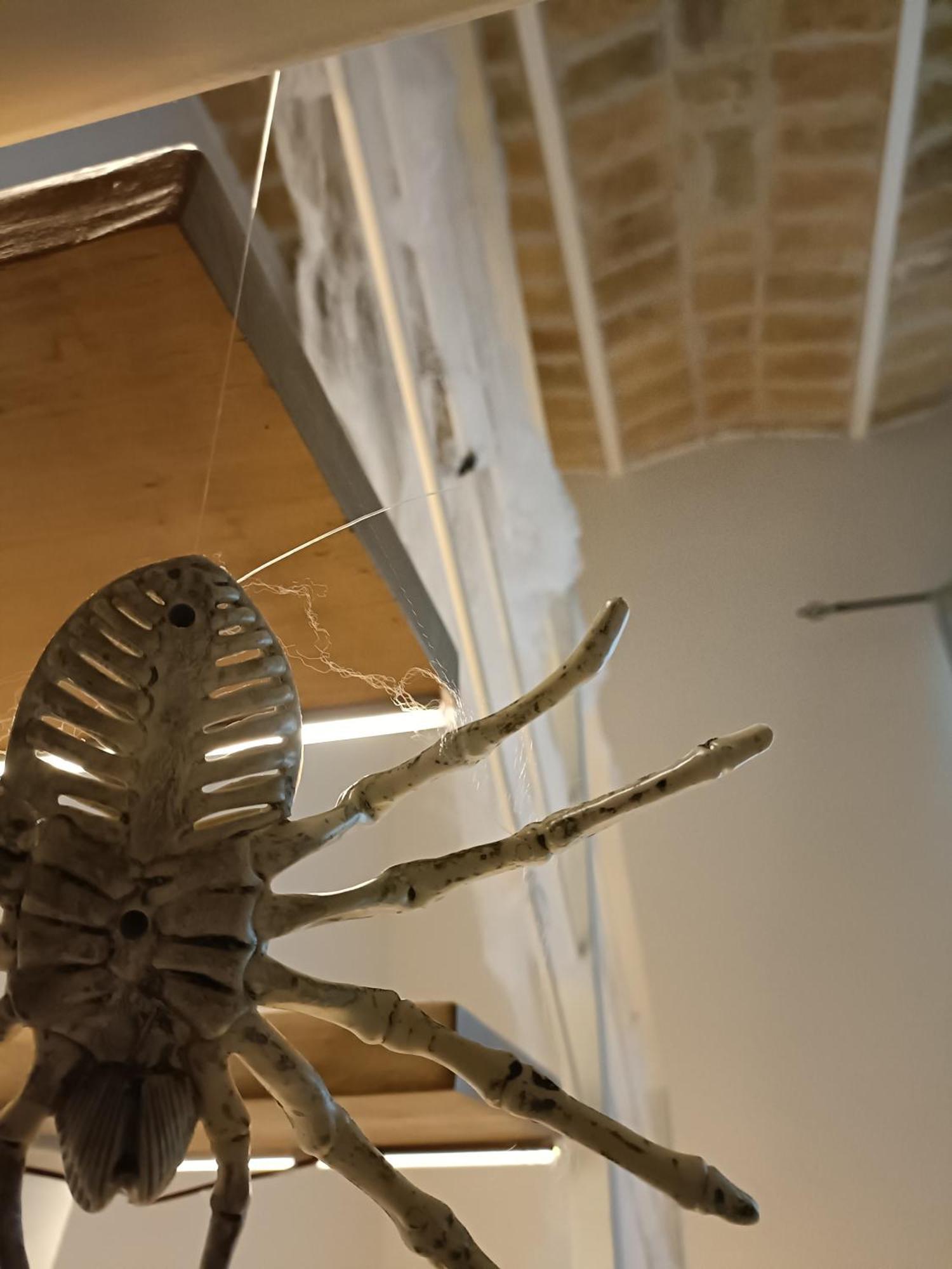 Trastevere In Loft Ρώμη Εξωτερικό φωτογραφία